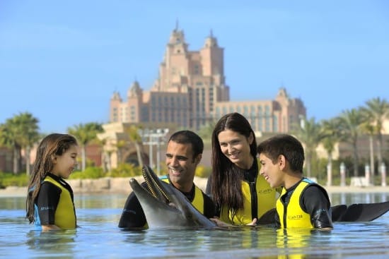 Immersione con i delfini all'Atlantis Dubai