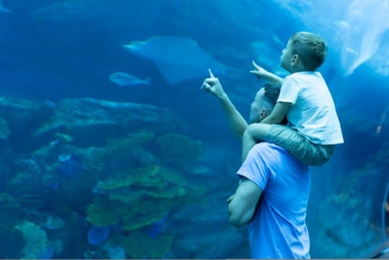 Divertimento per bambini