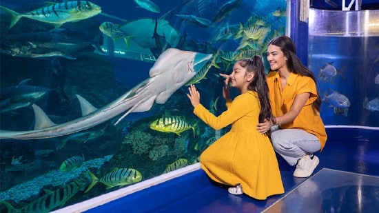 The Lost Chambers Aquarium, acquario sottomarino