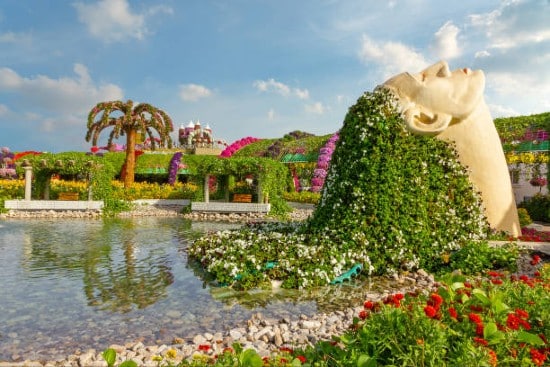 Miracle garden Dubai